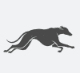 Galgos AI
